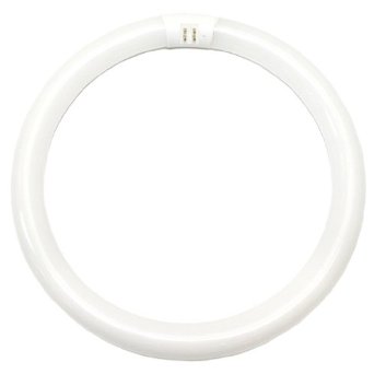 Eiko 15606 FC12T9/CW 32 watt T9 Circline Fluorescent Lamp, 12 in. diameter, 4-Pin (G10q) base, 4100K, 1950 lumens, 12,000hr life