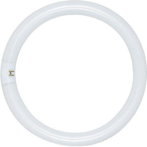 Satco S6509 FC6T9/CW/RS 20 watt T9 Circline Fluorescent Lamp, 6.5in. diameter, 4-Pin (G10q) base, 4100K, 750 lumens, 12,000hr life