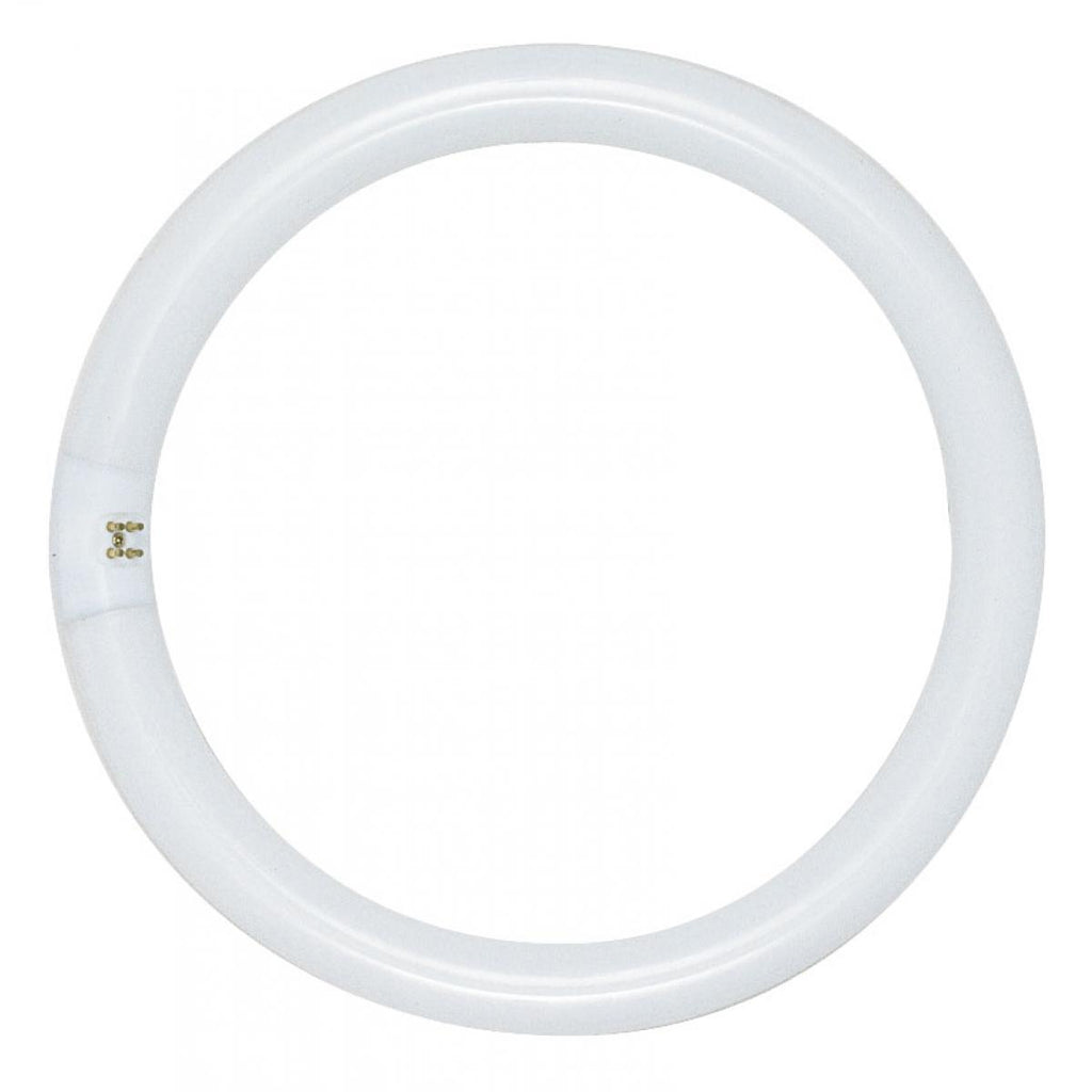 Satco S6505 FC12T9/WW 32 watt T9 Circline Fluorescent Lamp, 12in. diameter, 4-Pin (G10q) base, 3000K, 2150 lumens, 12,000hr life