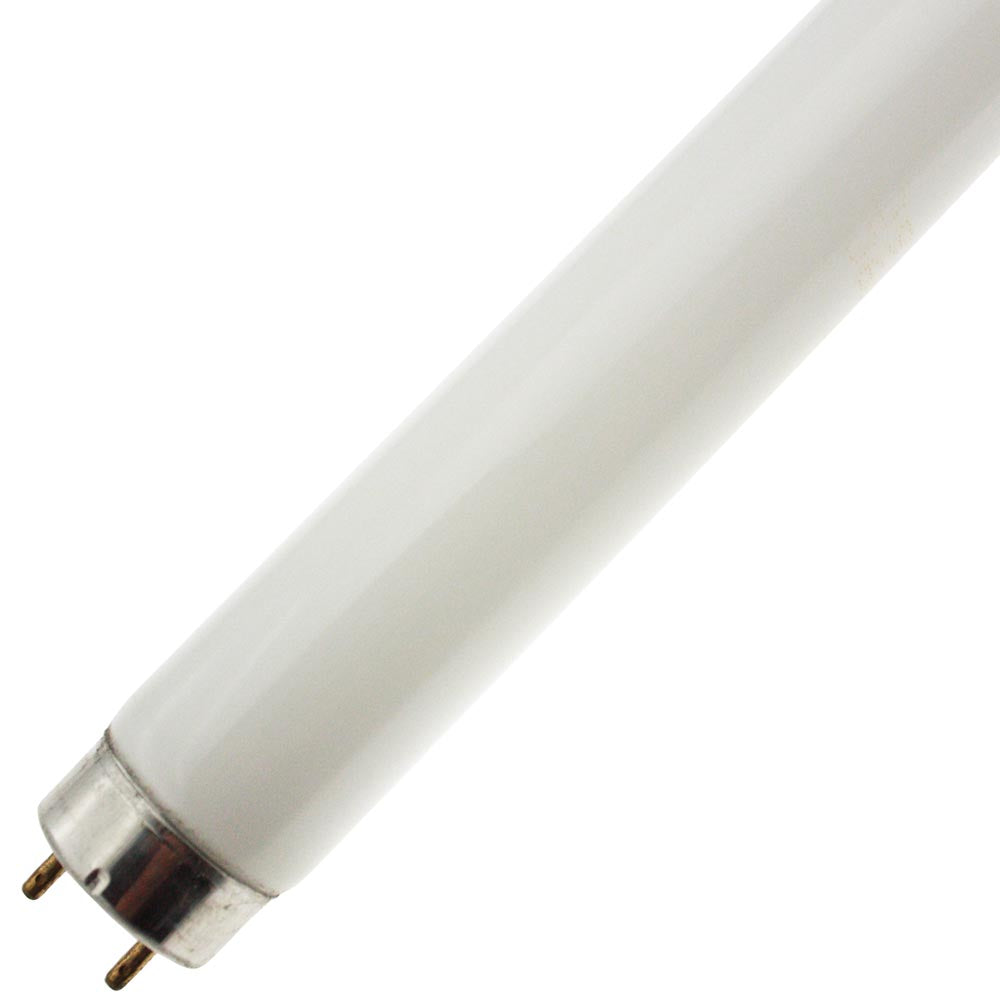 Import F14T8/CW 14 watt T8 Linear Fluorescent Lamp, 15" length, Medium Bi-Pin (G13) base, 4100K, 685 lumens, 7,500hr life